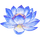 Quinto chakra