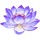 Sesto chakra