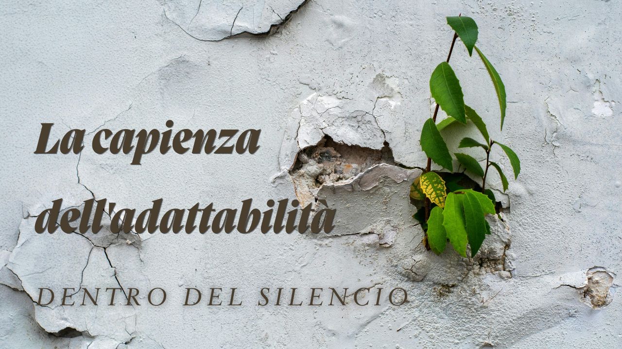 La Capienza dell'Adattabilità 1 la capienza